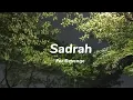 Download Lagu Sadrah - For Revenge (official audio)