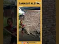 Download Lagu Bocah tetangga panik saat ketahuan mencuri mangga