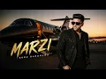 Marzi – Guru Randhawa | New Punjabi Song 2026 | Latest Punjabi Song | Pranik Melody