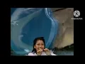 Download Lagu Pelamin Anganku Musnah - Azie Karaoke