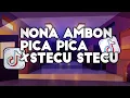 Download Lagu DJ NONA AMBON PICA PICA X STECU STECU SLOW REMIX VIRAL TIKTOK TERBARU 2025