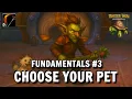 Hunter s Fundamentals - Choose your Pet