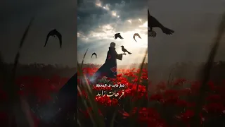 قطر فايت في المحطه والجميع ماضي غياب      فرحات زايد  اكسبلور  أغاني حزينة دندنها