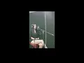 נוי גבאי - איפה את (קאבר)