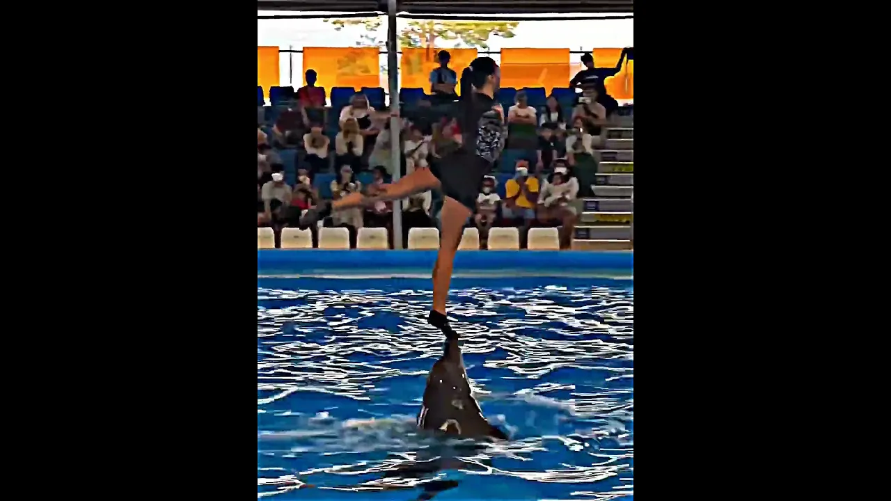 W Dolphin 🔥🤯