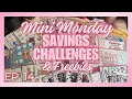 Mini Mondays 14 Savings Challenges Saving With 20 Freebie Haul