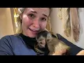 NEW BABY MONKEY AT MY HOUSE! WHERE'D HE COME FROM?!