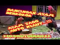 Download Lagu Suara ayam jago berkokok | pancingan ayam jago berkokok | melatih ayam bangkok