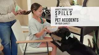 STAINMASTER PetProtect Carpet with LeakDefense - See It In Action