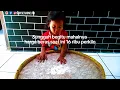 Download Lagu Sungguh begitu mahalnya harga beras saat ini 16 ribu perkilo.