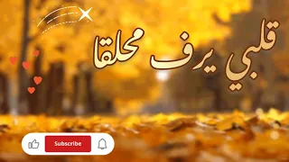 انشودة قلبي يرف محلقا انشوده مريحه للاعصاب دندنها