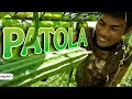 Download Lagu P1 - May Bunga na ang Patola ng Team Harabas - EP1986