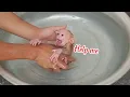 OMG! Baby Monkey’s Cute \u0026 Funny First Time Learning to Swim — Must Watch! 🐵💦