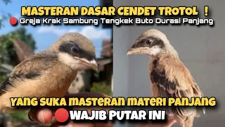 basic masteran of trotol cendet greja krak sambung tengkek buto long shot material clear voice 
