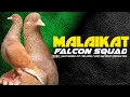 Lagu CALON LAWAN STAR-ONE‼️malaikat Falcon Squad Tegal