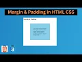 Margin Padding in HTML CSS CSS Tutorial