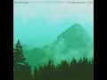Resonator
