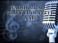 Arabic Karaoke WADIH MRAD   7ILWY EL DINYI FINAL