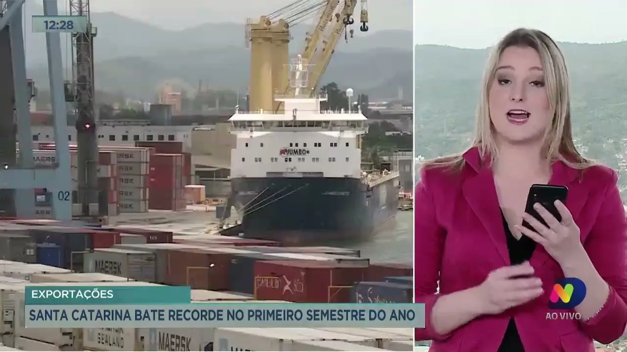 Exportações: Santa Catarina bate recorde no primeiro semestre do ano
