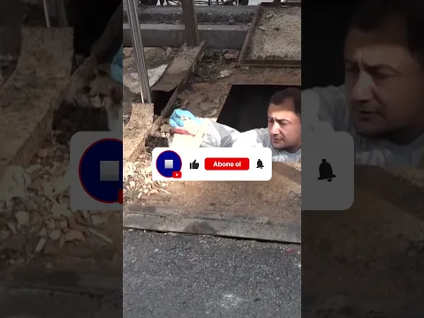 Yer altı çöp konteynerinin altına düşen yavru kediyi ekipler kurtardı #kedi #kurtarma