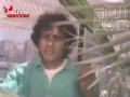 لولاكى على حميده