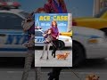 Download Ace the Case: Manhattan Mystery mp4 3gp mp3 videos - waplic