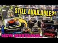 I Almost Missed the Muscle Machines 25th Anniversary