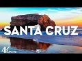 Top 10 Best things to do in Santa Cruz California Santa Cruz Travel Guide 2026