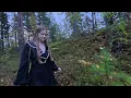 Peaceful Evening Forest Walk After the Rain 🌧️🌿 Birds & Nature Sounds