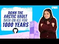 Down the Arctic Vault data on ice for 1000 years