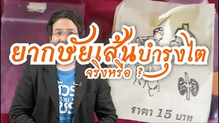 ยากษัยเส้นบำรุงไตที่ขายกันบนโซเชียลมีเดีย ช่วยรักษาอาการปวดหลังหรือปวดเอวได้จริงไหม