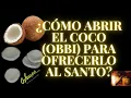 SANTERIA HOW TO OPEN THE COCONUT FOR RITUALS AND OFFER IT TO THE SAINT Oshareo