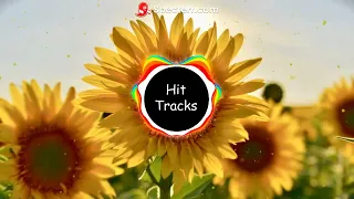 Download Post Malone, Swae Lee - Sunflower (Not Your Dope Remix) MP3