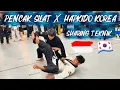 Sharing Hapkido Korea Selatan X Pencak Silat Teknik Bantingan #pencaksilat #hapkido 
