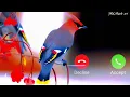 Download Lagu New ringtone, pakhir ringtone, ২০২২ সালের পাখির রিংটোন,, Md.Akash 205