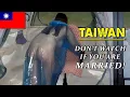 Download Lagu Het leven in Taiwan: achter de glitter en glamour van de stad - Reisdocumentaire