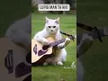 Download Lagu kucing main gitar 🤣