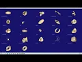 VTK Python Example - ParametricObjectsDemo