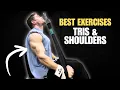 Download Lagu Elite Exercise Selection - Shoulders and Tris Edition