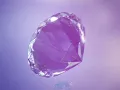 Hannah Diamond + Daniel Swan 'Fade Away' - Made to express // Novation