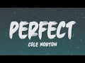 Download Lagu Cole Norton - Perfect (Lyrics)