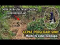 Download Lagu MUSTAHIL PERCAYA!! TAPI ORANG INI BERTAHAN HIDUP 100 HARI DI DALAM HUTAN