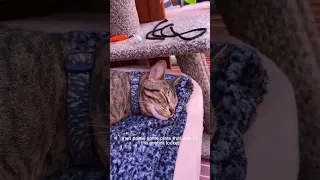 Day 45 of living on a sailboat. Just got to prime it #sailboatlife #dayinthelife