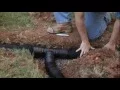 Installing a Flex-Drain System