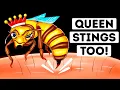 Download Lagu Are Queen Bee Stings More Dangerous? (We Found Out)
