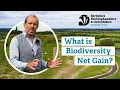 What is Biodiversity Net Gain