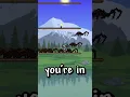 REALLY COOL Shimmer Items in Terraria Terraria 1 4 4