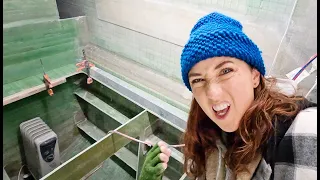 You Wanna Stick Me WHERE?!?!  (MJ Sailing CATAMARAN BUILD – Ep 225)