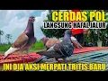 Download Lagu INI DIA AKSI TRITIS BARU MERPATIKU YANG BELI KEMARIN SIAP MERAMAIKAN LOMBA 