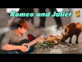 Download Lagu Relaxing Light Music Video 4k || Romeo and Juliet || Guitar · Tran Sy Tam